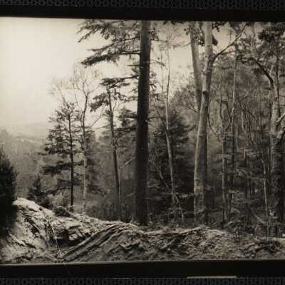 1910