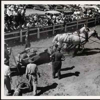 Tim Hutchinson - Turner, Maine Windsor, Maine, fair horse pulling