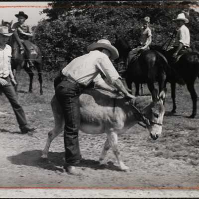 Dude ranch Cape Cod 1