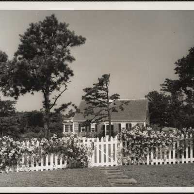 Harwichport Cape Cod