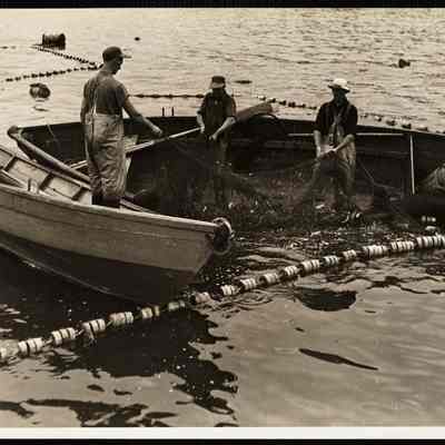 Mackeral fishing - Maine 1944
