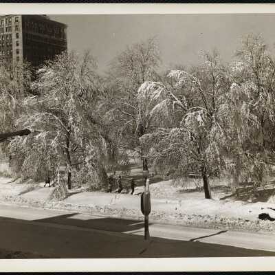 Public Gardens, Boston Feb. 1945