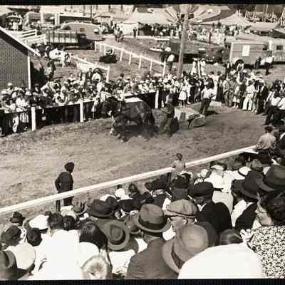 Maine county Fair
