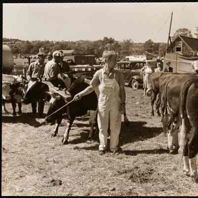 Maine county fair