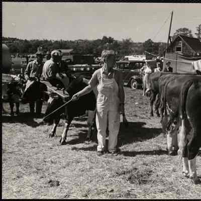Maine county fair