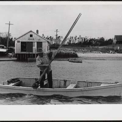 Cotuit, Massachusetts. Getting Cotuit oysters