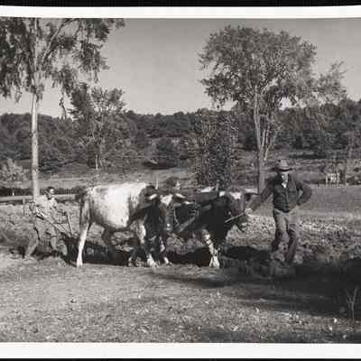 Plowing field - Casco, Maine. Henry P. Watkins - driver. Raymond Guilbault.