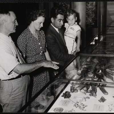 Cambridge. Custodian Louis Bierwelle showing visitor the Blaschka glass flowers in Peabody Museum.