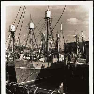 Gloucester