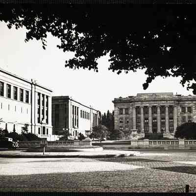 Harvard - Medical School
