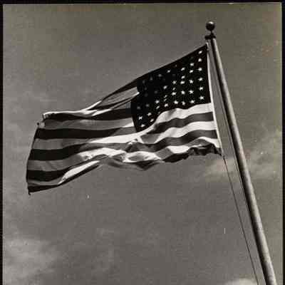 Flag