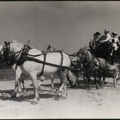 Dude ranch Cape Cod 1