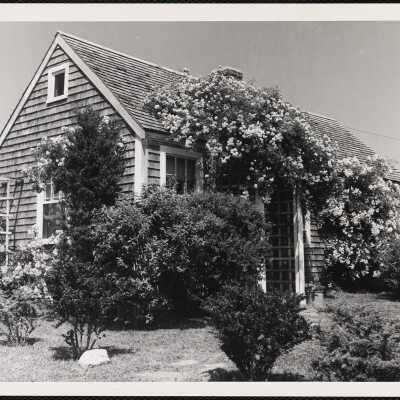Cape Cod house