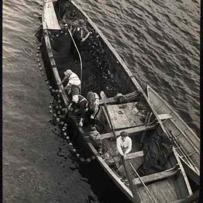 Mackerel fishing - Maine