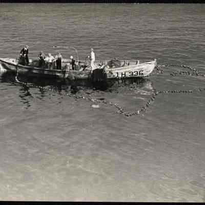 Sardine fishing
