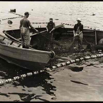 Sardine fishermen, Maine