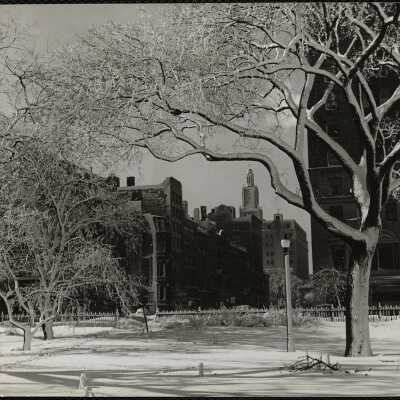 Boston Public Gardens Feb. 1945