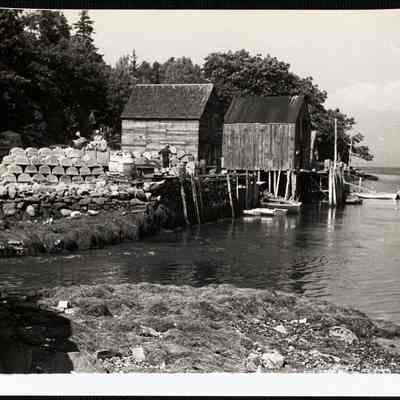 Maine. Back Cove.