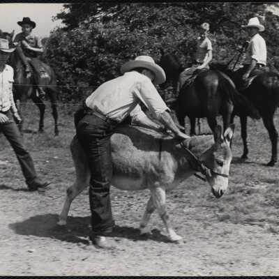 Dude ranch Cape Cod 1