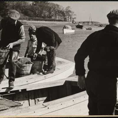 Bringing in the day's haul. A lobster crew unload the sorted lobsters in Cohasset Harbor, less than a mile from Hugo's.
