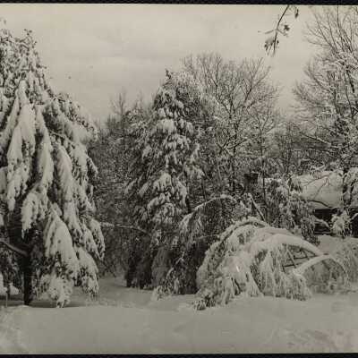 Feb. 1945