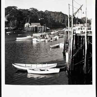 New Harbor, Maine