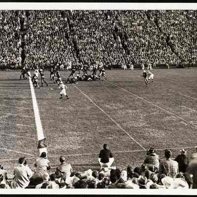 Harvard - Yale 1954