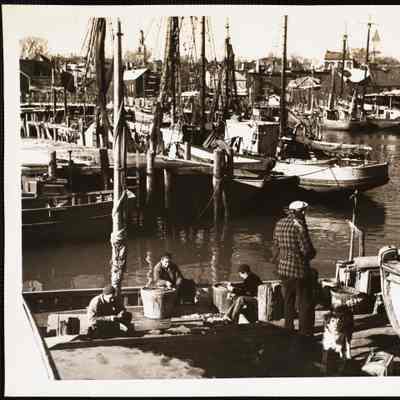 Gloucester, Cape Ann