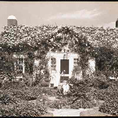 Nantucket - Siasconset 1