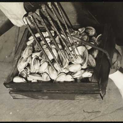A half hour "harvest" at Biddeford Pool, Me.