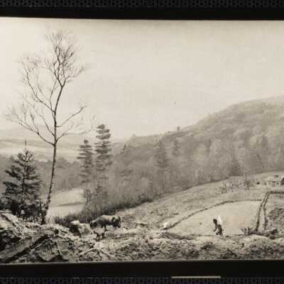 1910