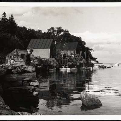 Back Cove - New Harbor, ME