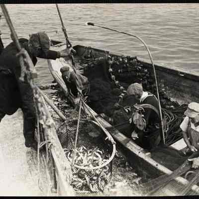 Mackeral fishing - Maine 1944
