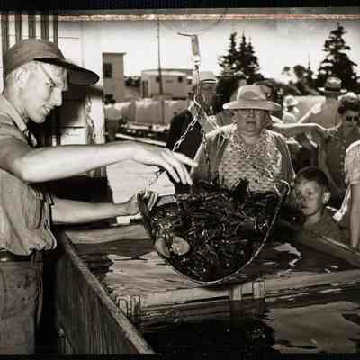 Maine - lobsters 1
