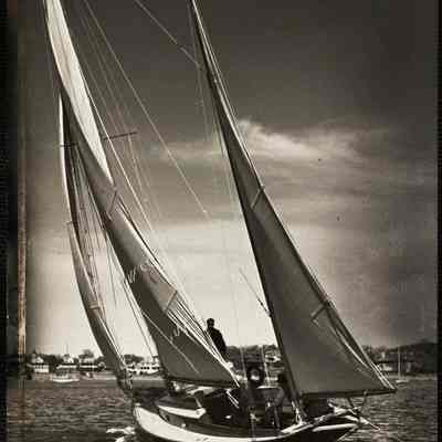 Marblehead "Shag"