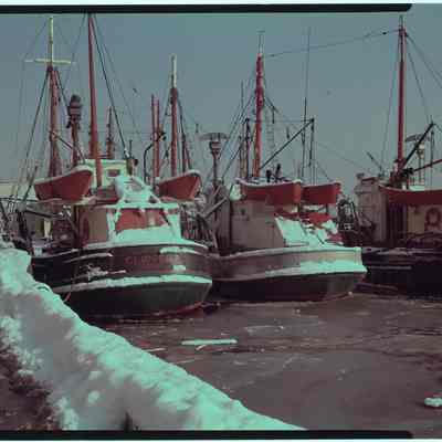 Boston fish pier