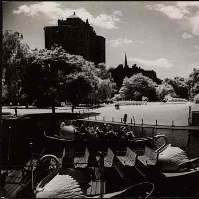 Public Garden - swan boats, spring
