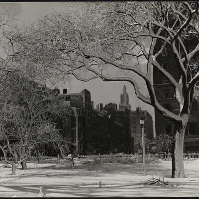 Public Gardens Feb. 1945