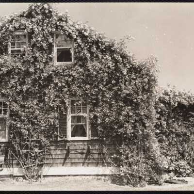Rose cottage, Chatham