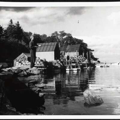 Back Cove - Maine