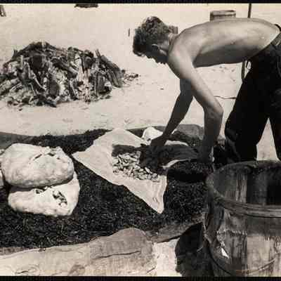 Nantucket clam bake