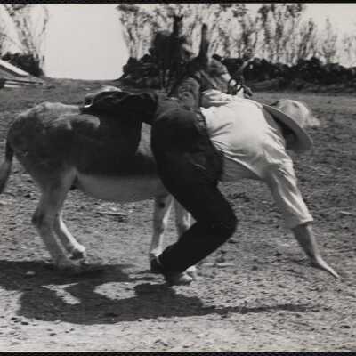 Dude ranch Cape Cod 1