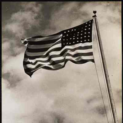 Flag