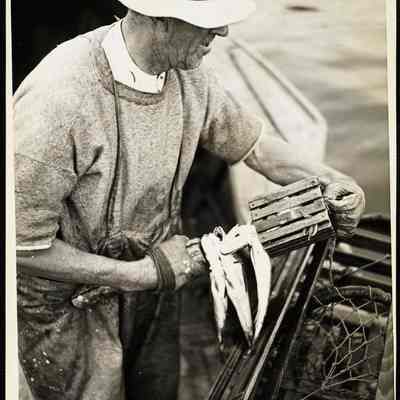 Maine - lobsters 1