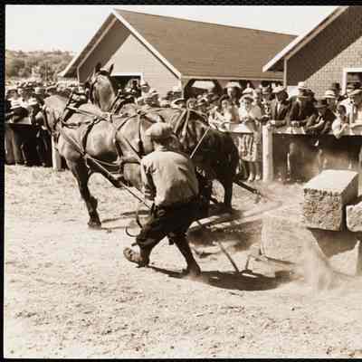 Maine county fair