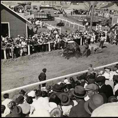 Maine county fair Union, Maine