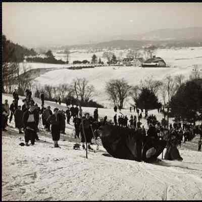 The skiing horse falls down