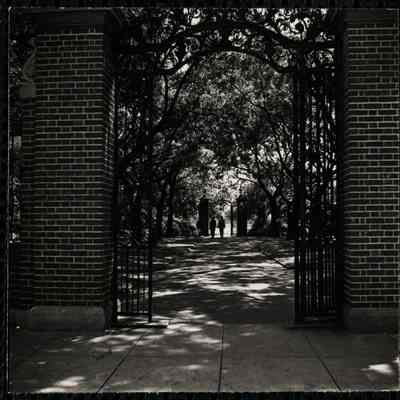 Harvard 1