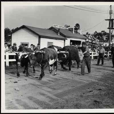 Windsor, Maine, fair