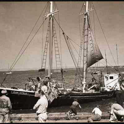 Nantucket - harbor